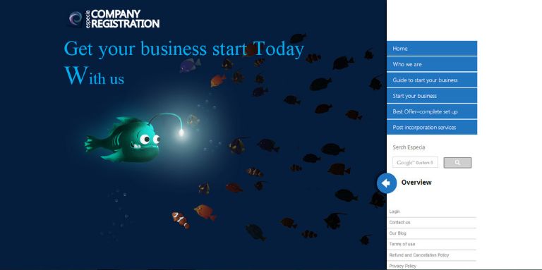 Company Registration System